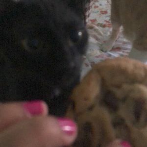 Meet your Posher, Adriana